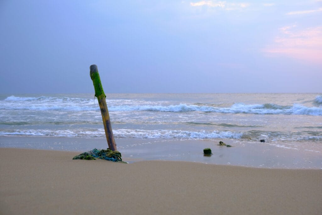 Top Beaches In Chennai Worth Visiting On Your Next Trip
