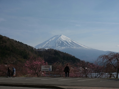 Get Acquainted with These 6 Cities in Japan