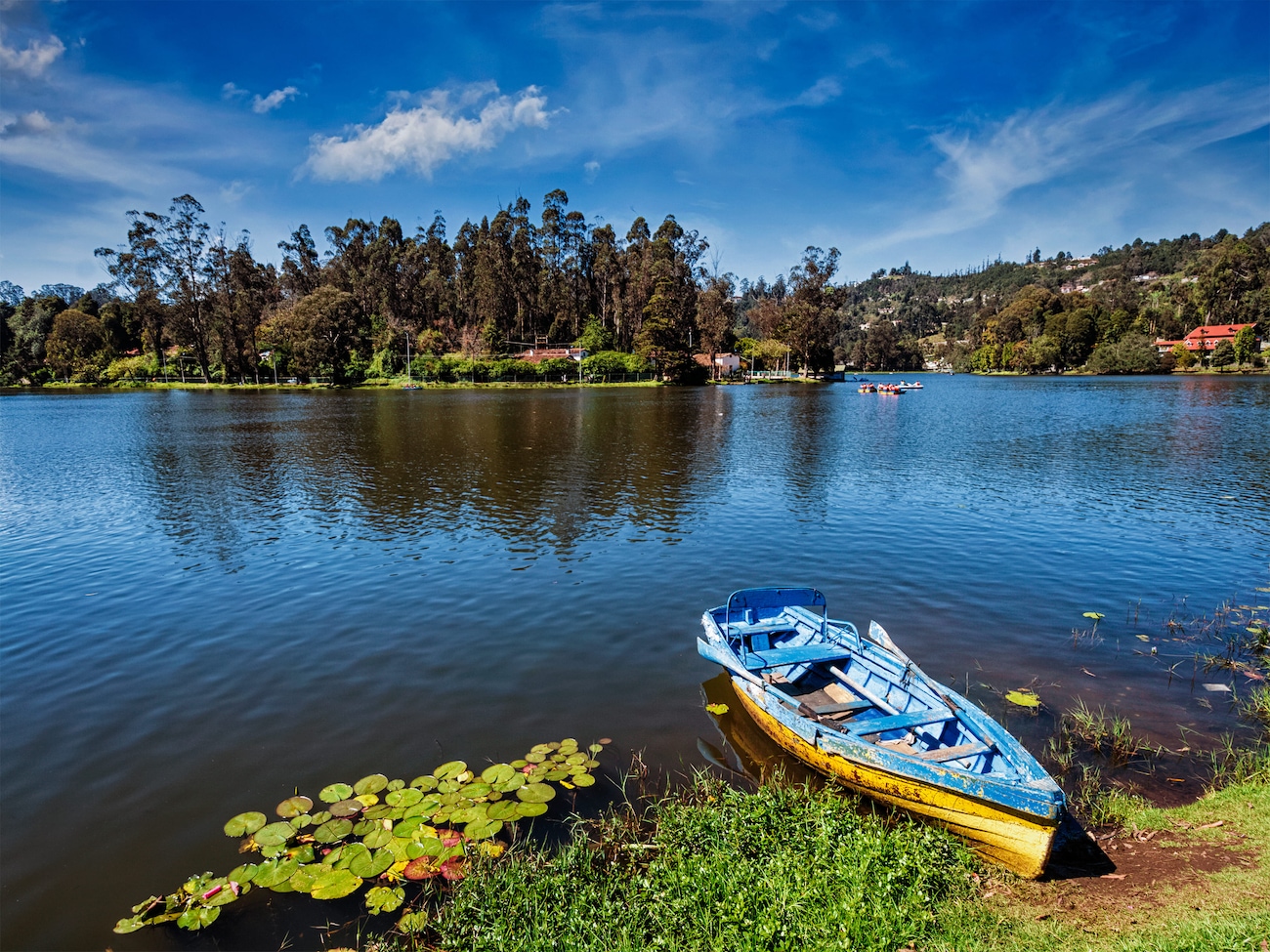Exploring Sparkling Lakes in Ooty for a Refreshing Vacation