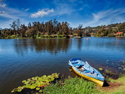Exploring Sparkling Lakes in Ooty for a Refreshing Vacation
