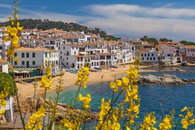 Top 10 Amazing Things to Do in Spain