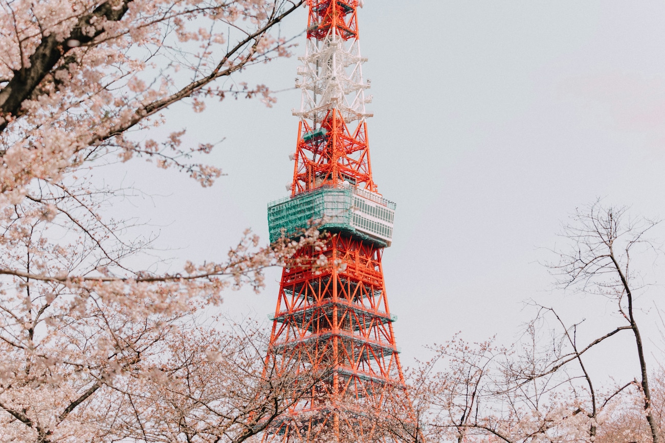 Things to Do in Tokyo: A City of Floating Lanterns and Blossoming Traditions