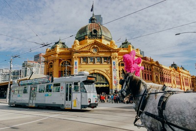 Find Your Trail While Hiking in Melbourne