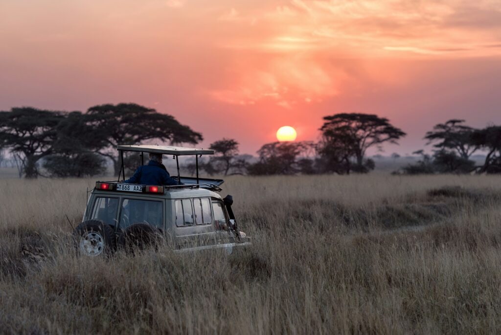 Safari in Tanzania – Into the Wild 