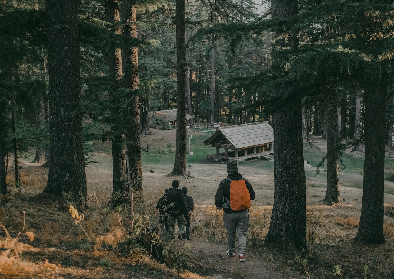 Top Things to do in Jibhi: A Nature’s Paradise