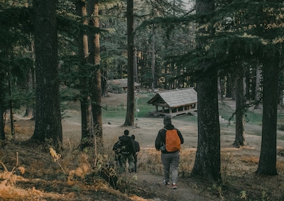 Top Things to do in Jibhi: A Nature’s Paradise