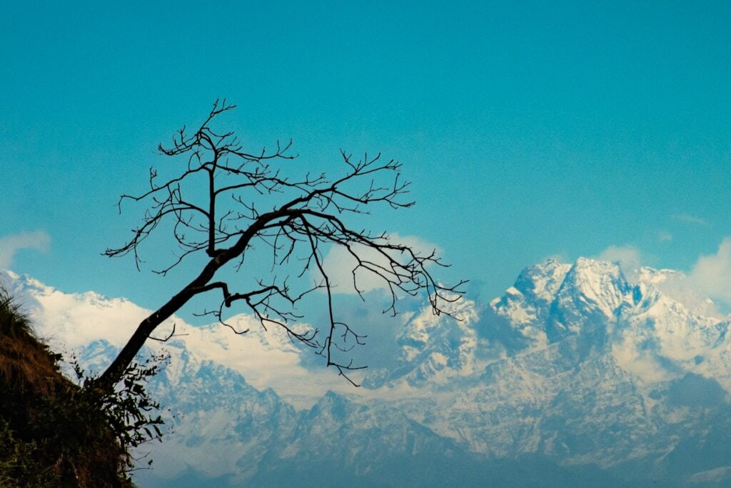 Best Places to Visit in Dhanaluti for a Perfect Hill Getaway
