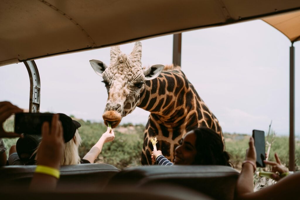 Laikipia Plateau