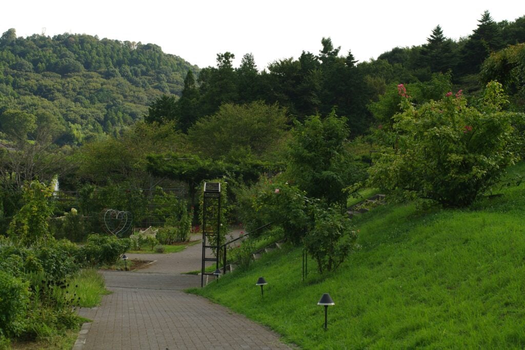 Nature Park