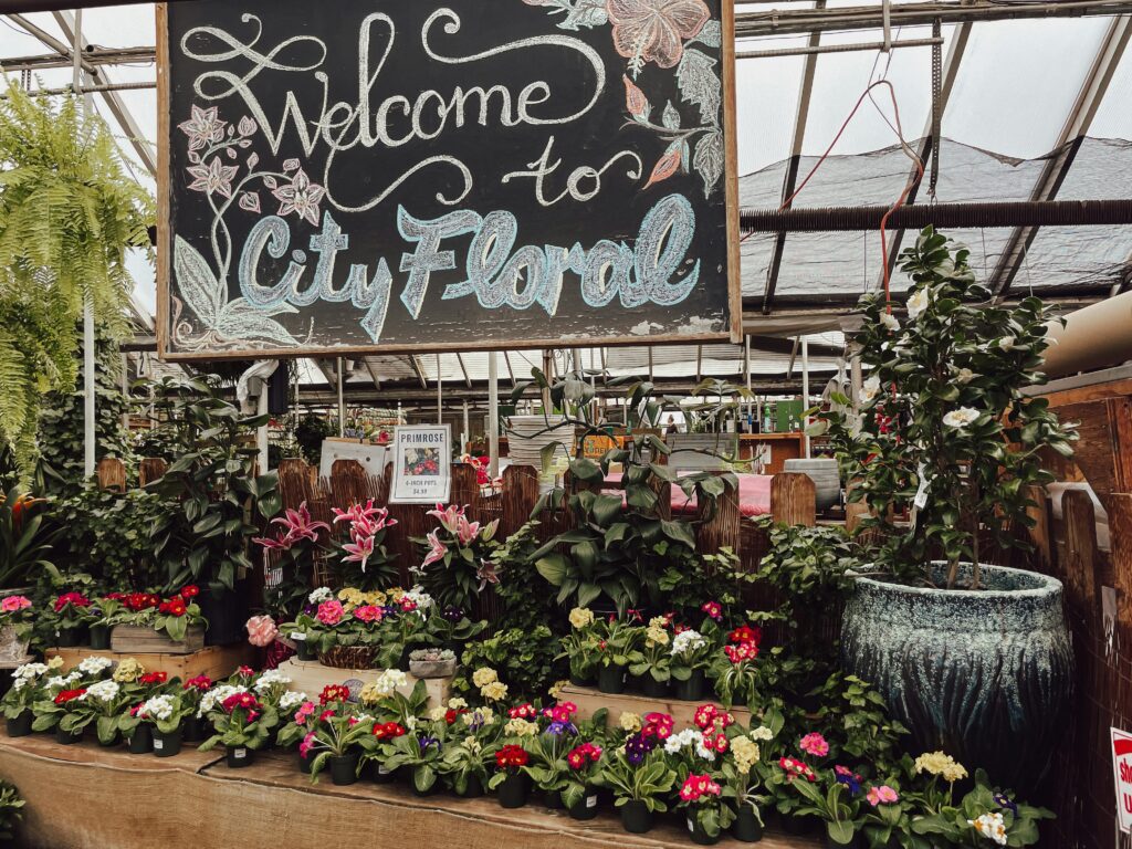 Pine View Nursery