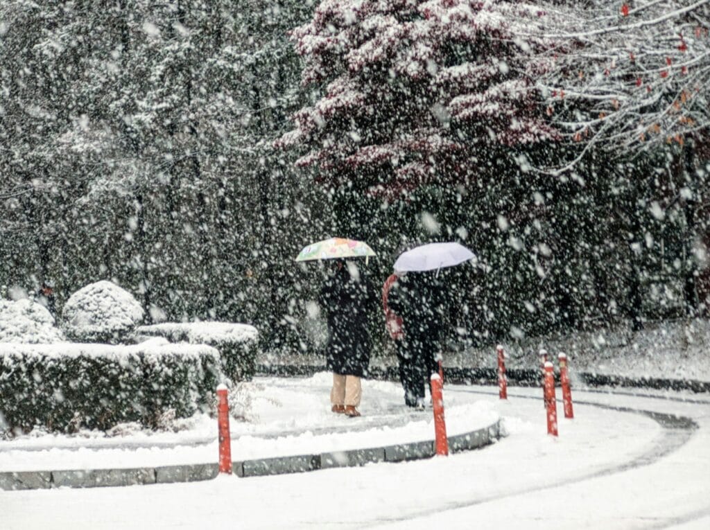 South Korea in Winter