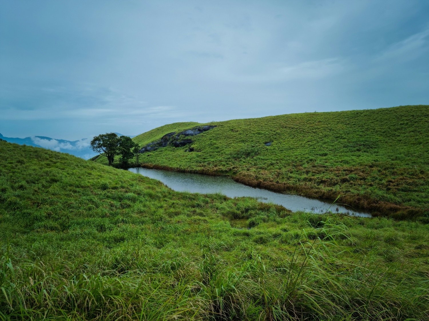 Chembra Peak.