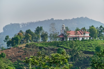 Top 5 Tourist Attractions in Wayanad, Kerala