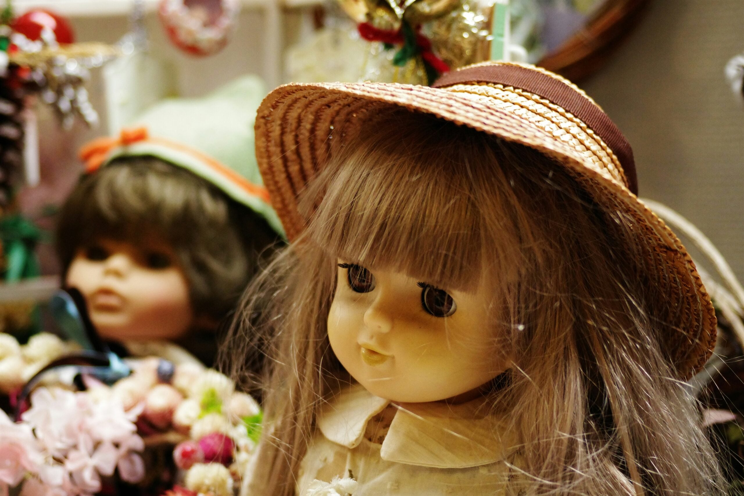 rotary dolls museum rajkot