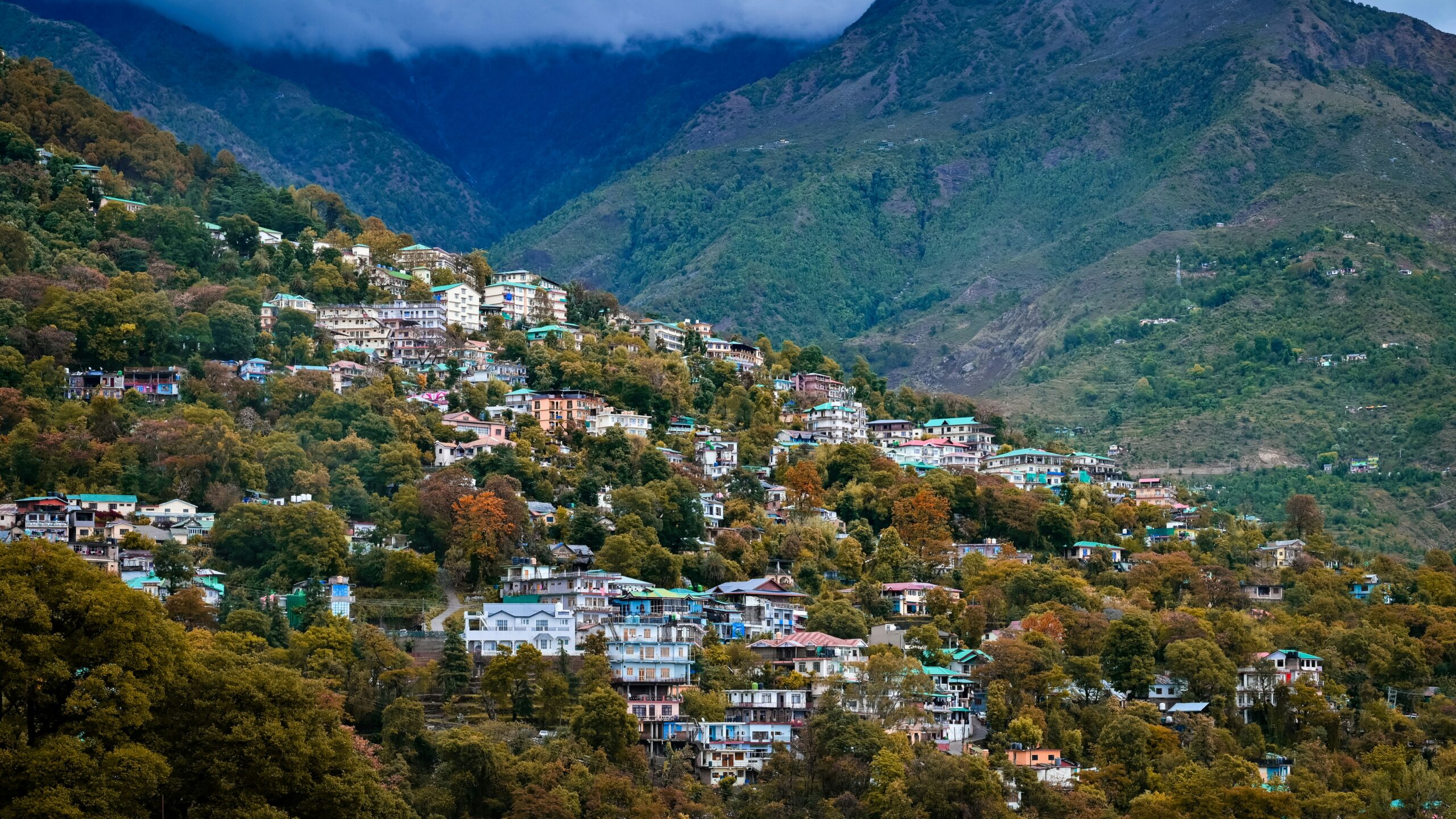 Dharamshala Winter