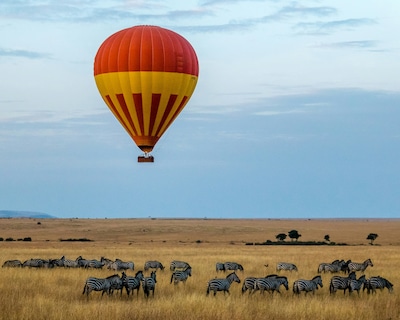 Best Time to Go to Masai Mara - An Epic Adventure Deep in the Wilderness of Kenya