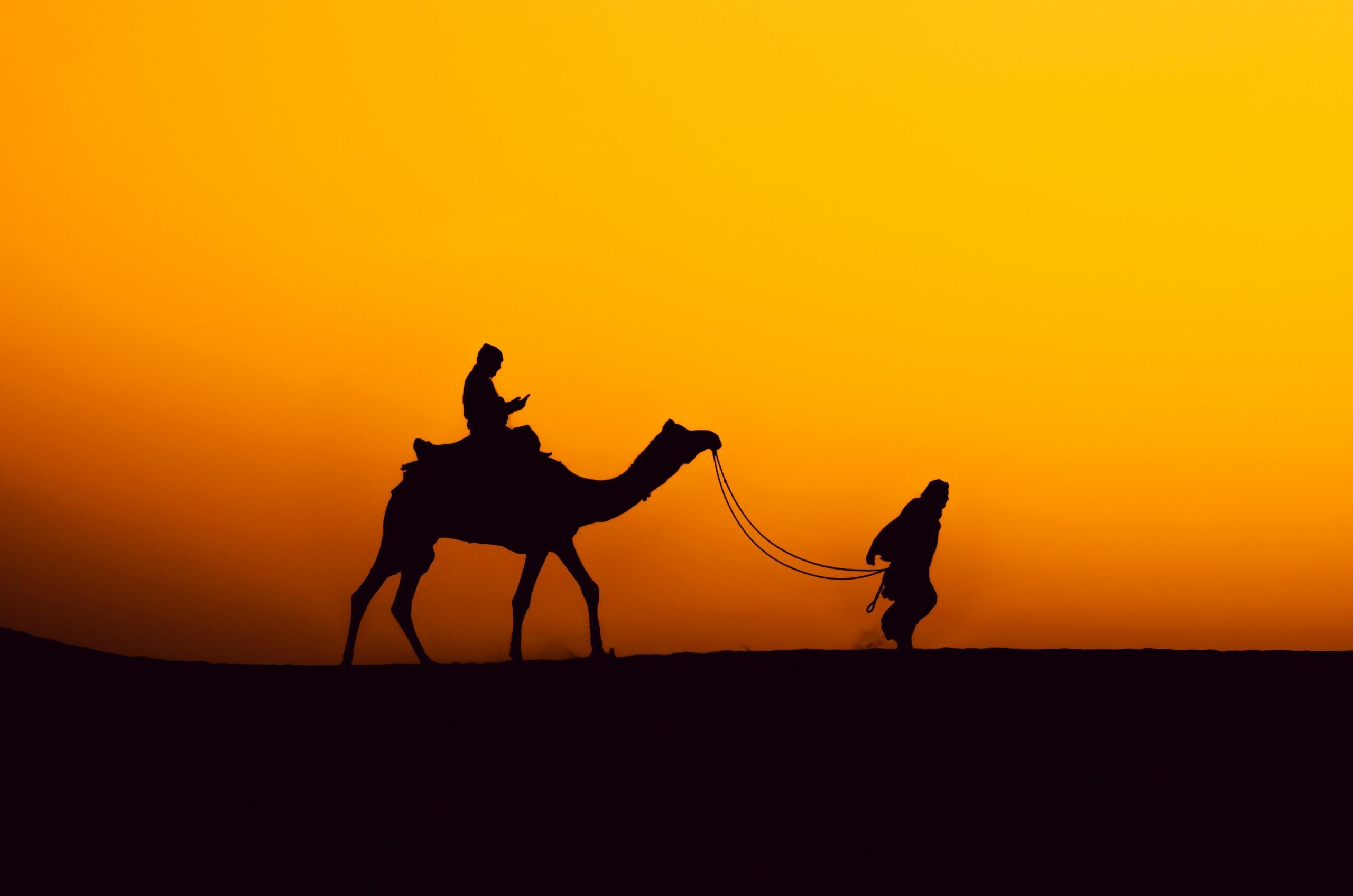 Rajasthan Desert photo