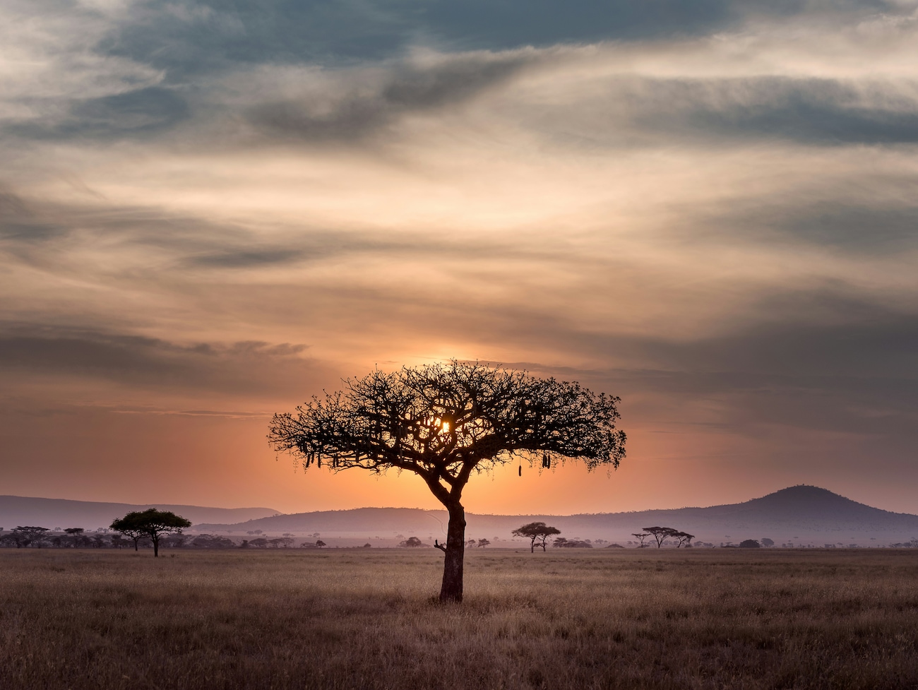 Uncover the Best Time to Go to Tanzania