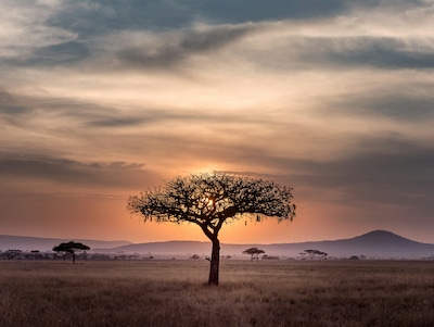 Uncover the Best Time to Go to Tanzania