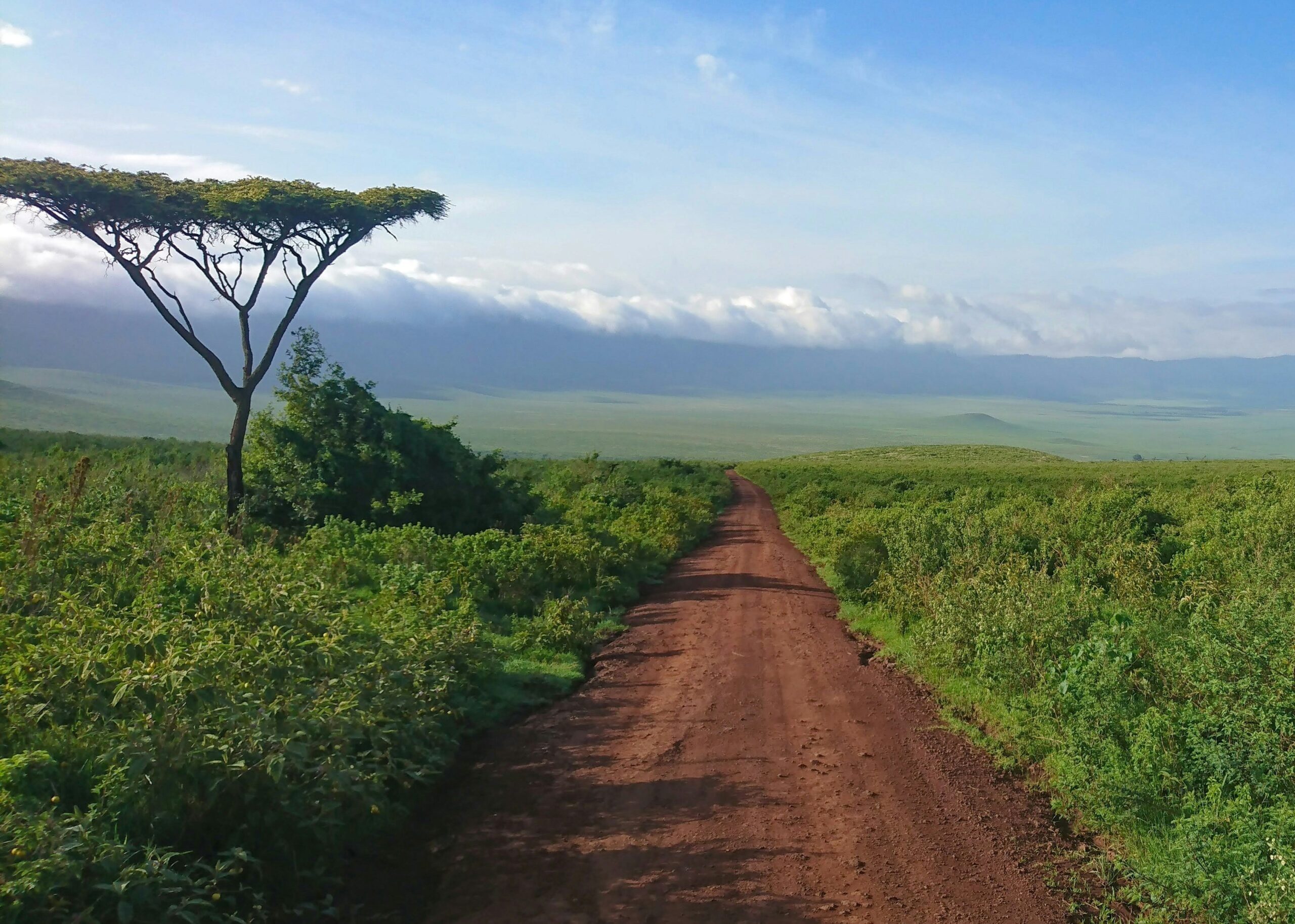 Tanzania Ngorongoro Crater