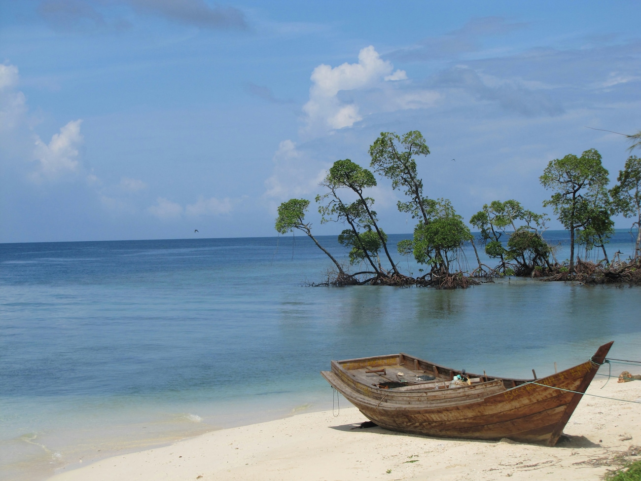 10 Best Things To Do In Andaman- Your Ultimate Guide To India’s Tropical Island