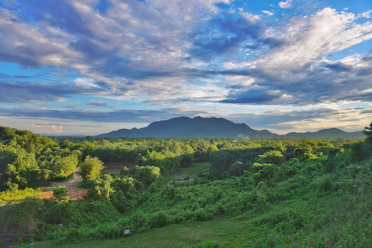 What’s the Best Time to Visit Assam: A Detailed Guide