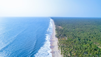 The Best Places to Visit in Guruvayur for a Soulful Kerala Sojourn