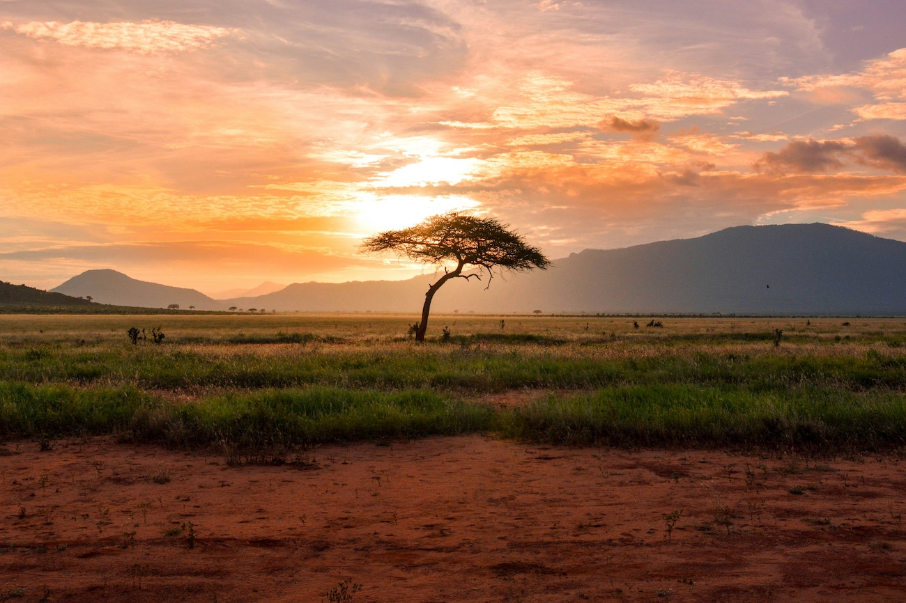 Unforgettable Things To Do in Kenya