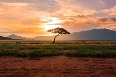 Unforgettable Things To Do in Kenya