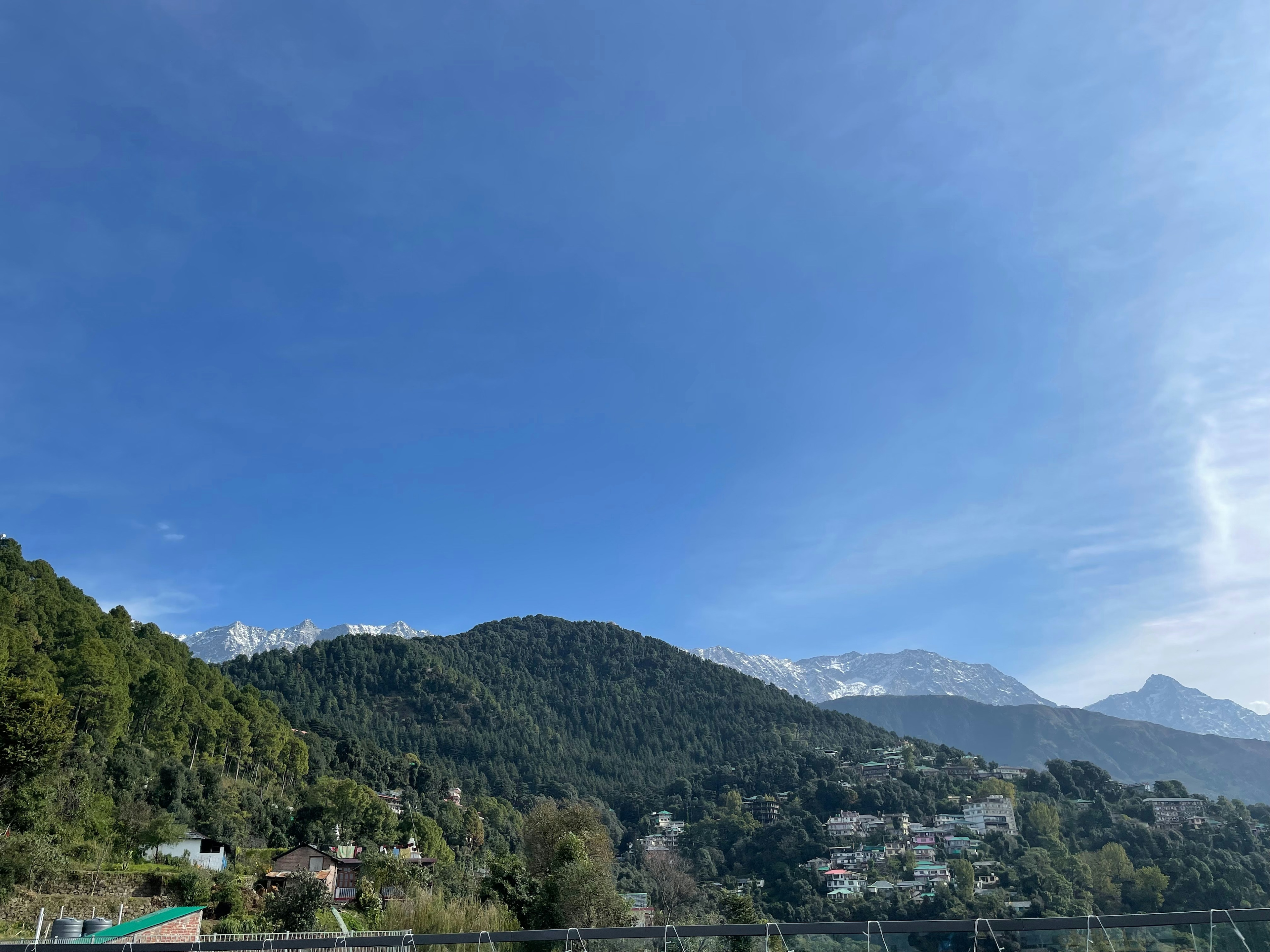 Things to Do in McLeodganj on Your Next Himalayan Escape