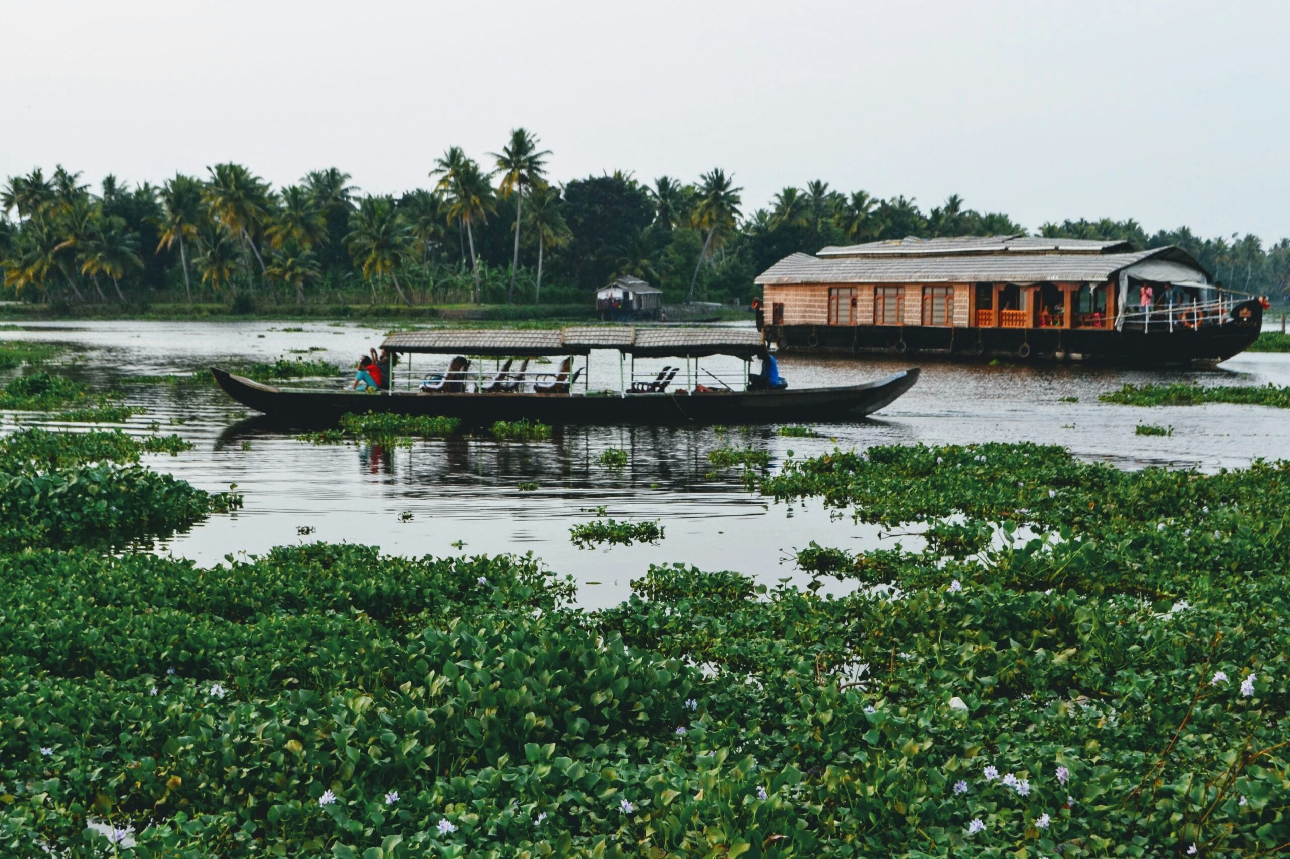 Alleppey Monsoon
