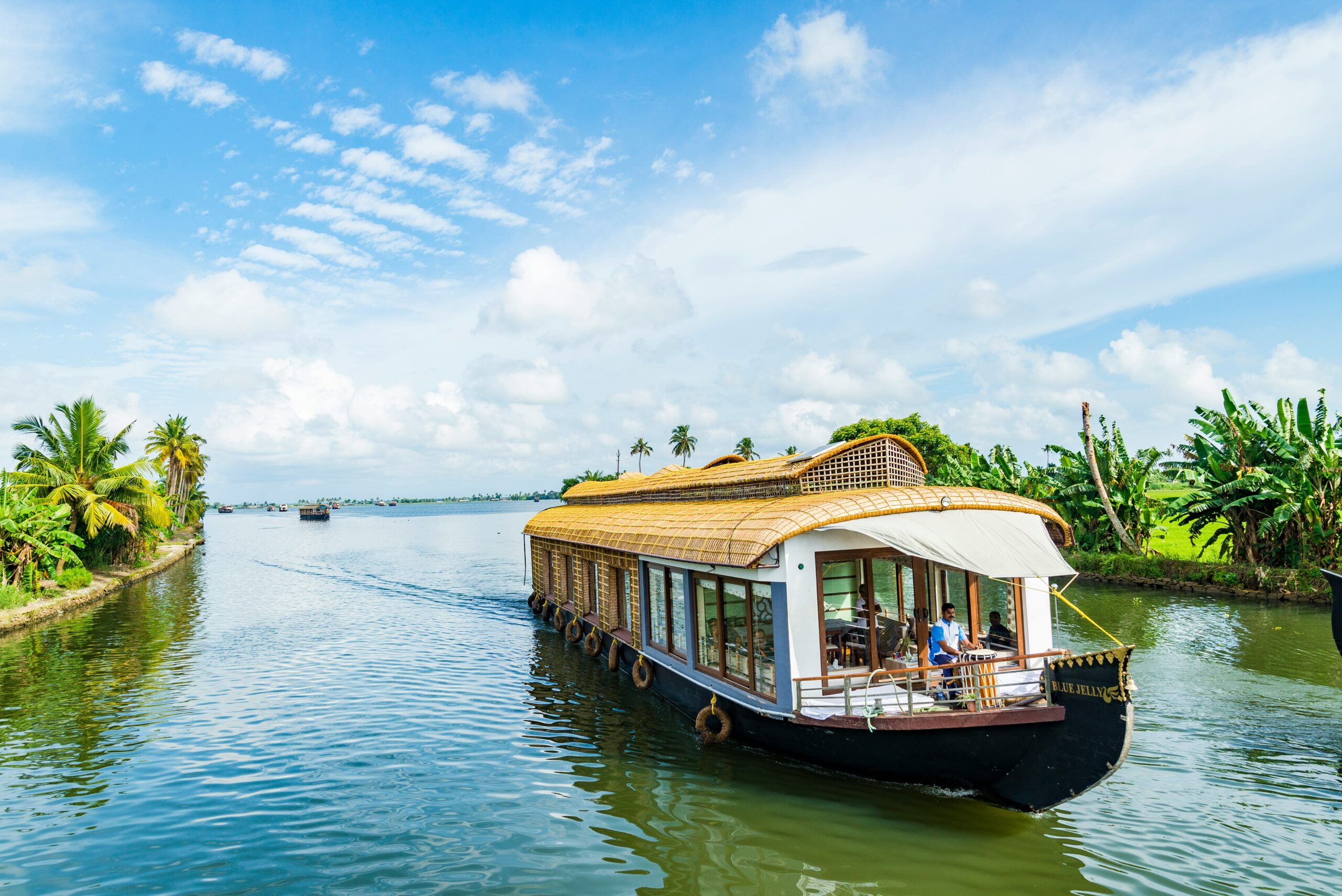 Alleppey Winter