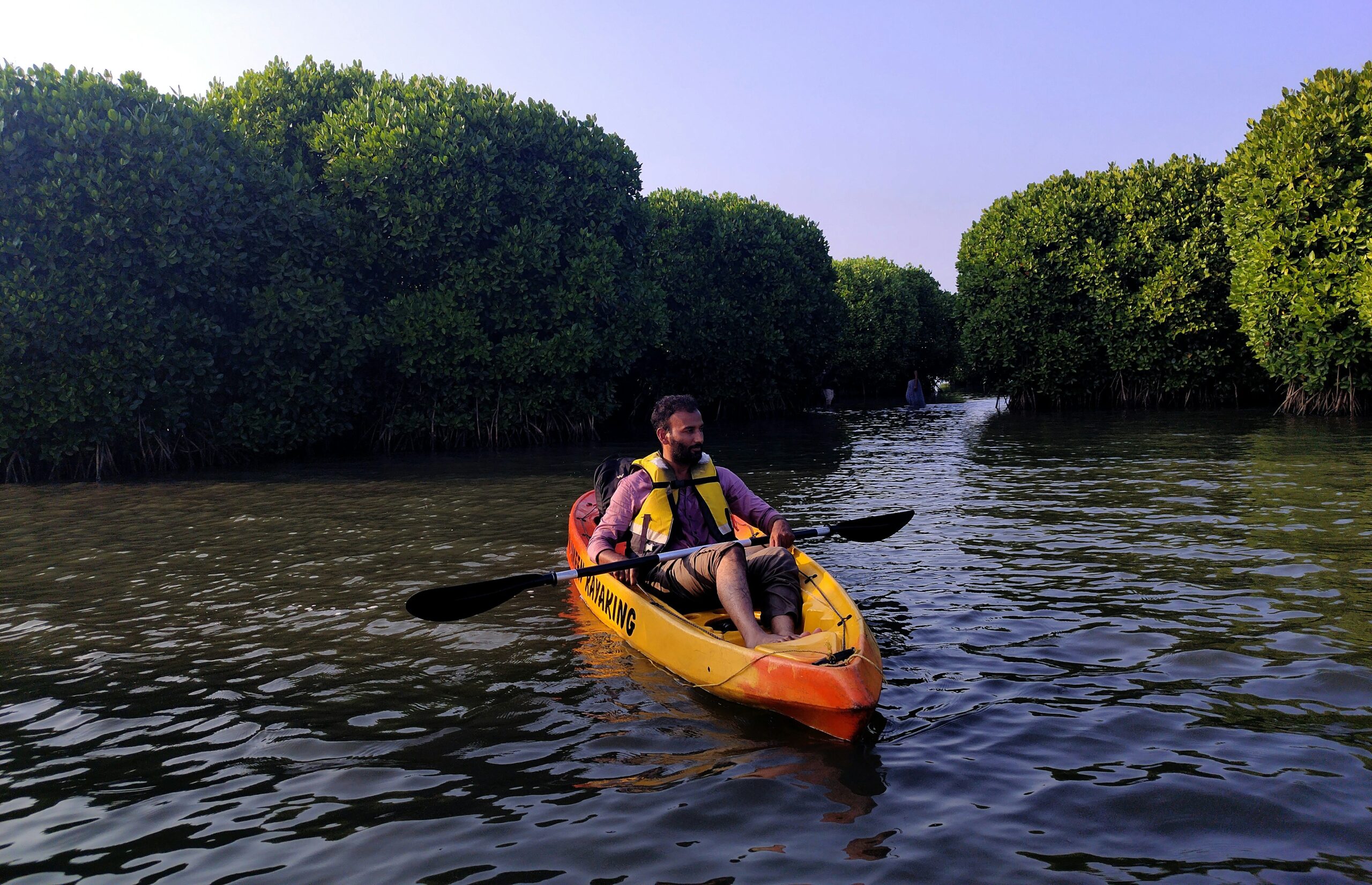Mangroves Kayaking