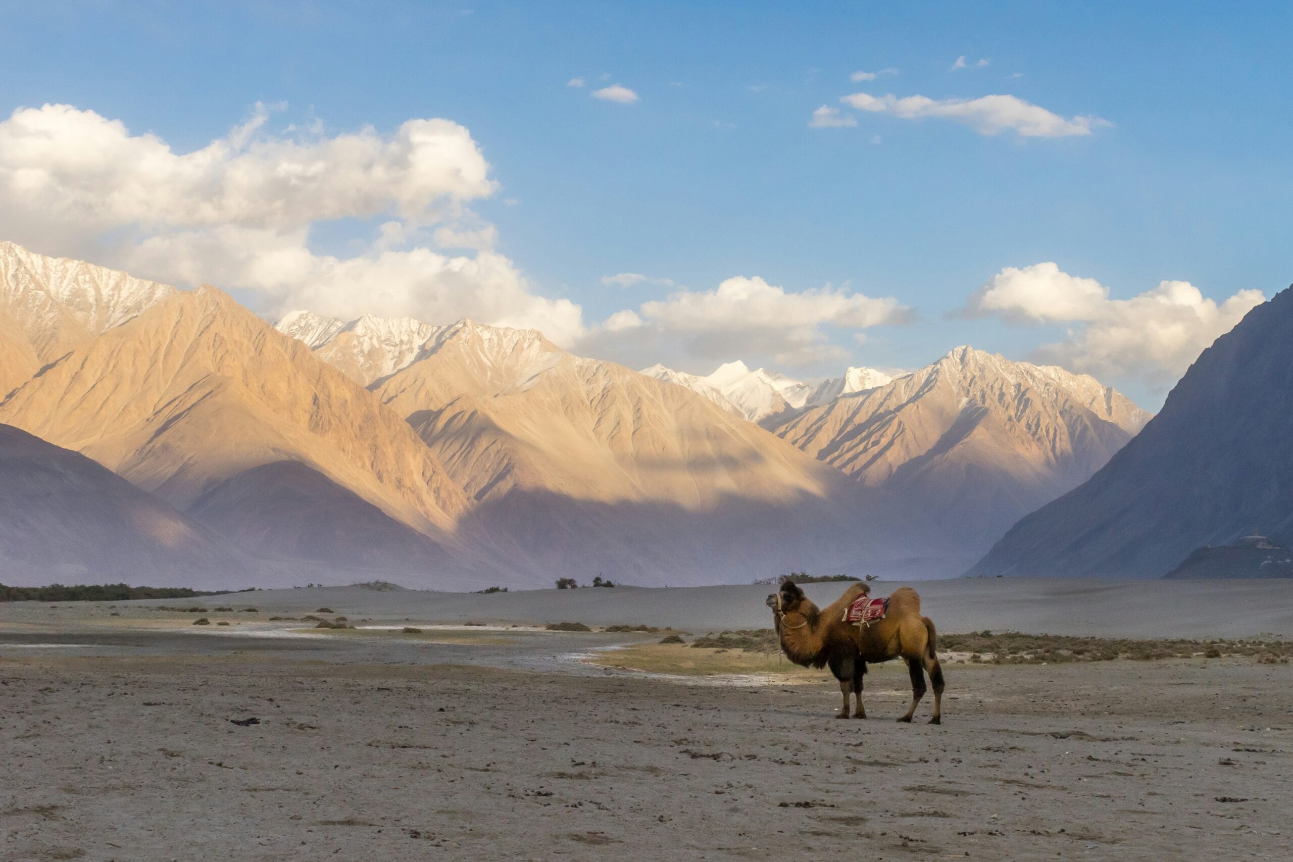 Nubra Valley ladakh