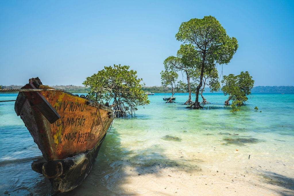 Explore the Most Stunning Beaches in Andaman and Nicobar