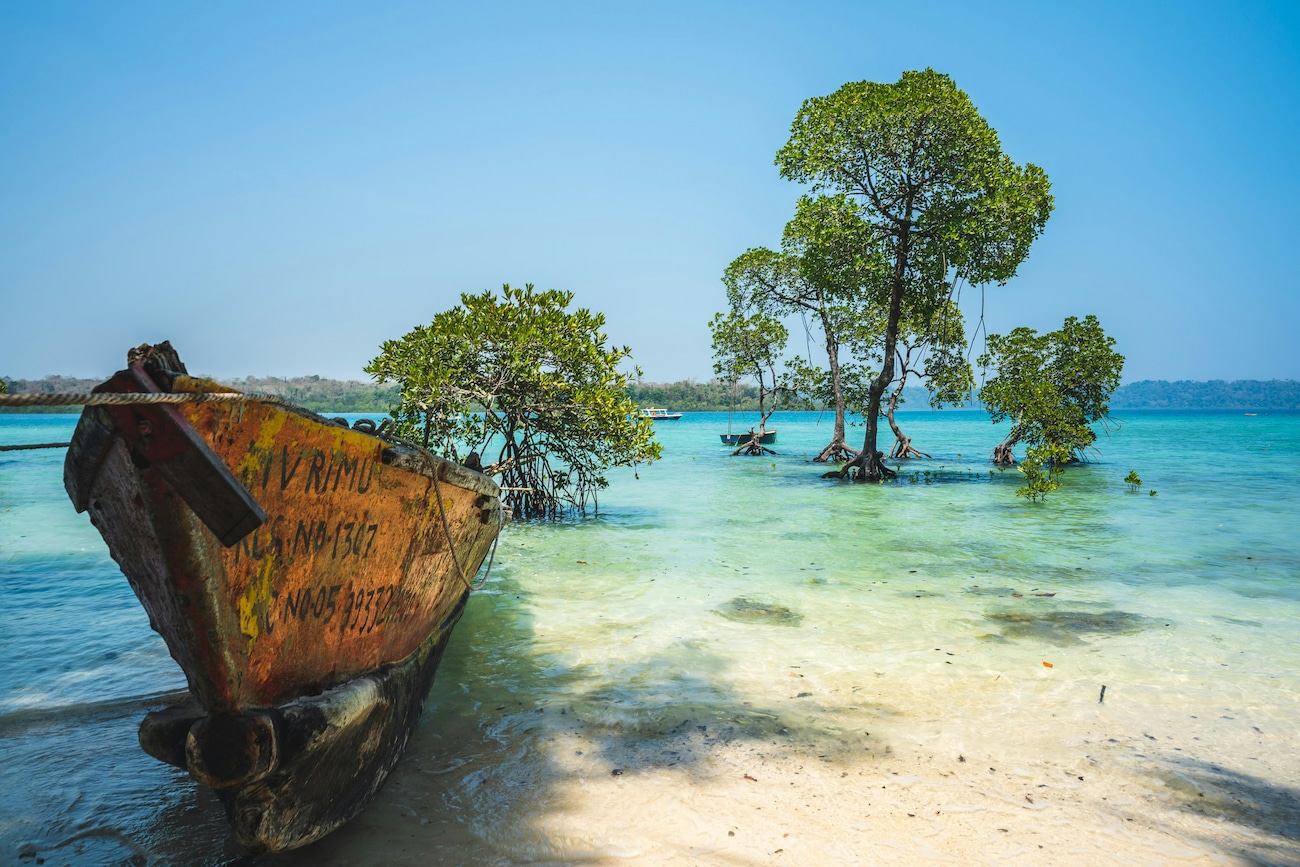 Explore the Most Stunning Beaches in Andaman and Nicobar
