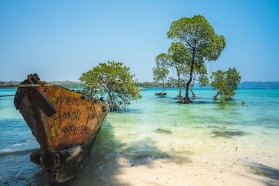 Explore the Most Stunning Beaches in Andaman and Nicobar