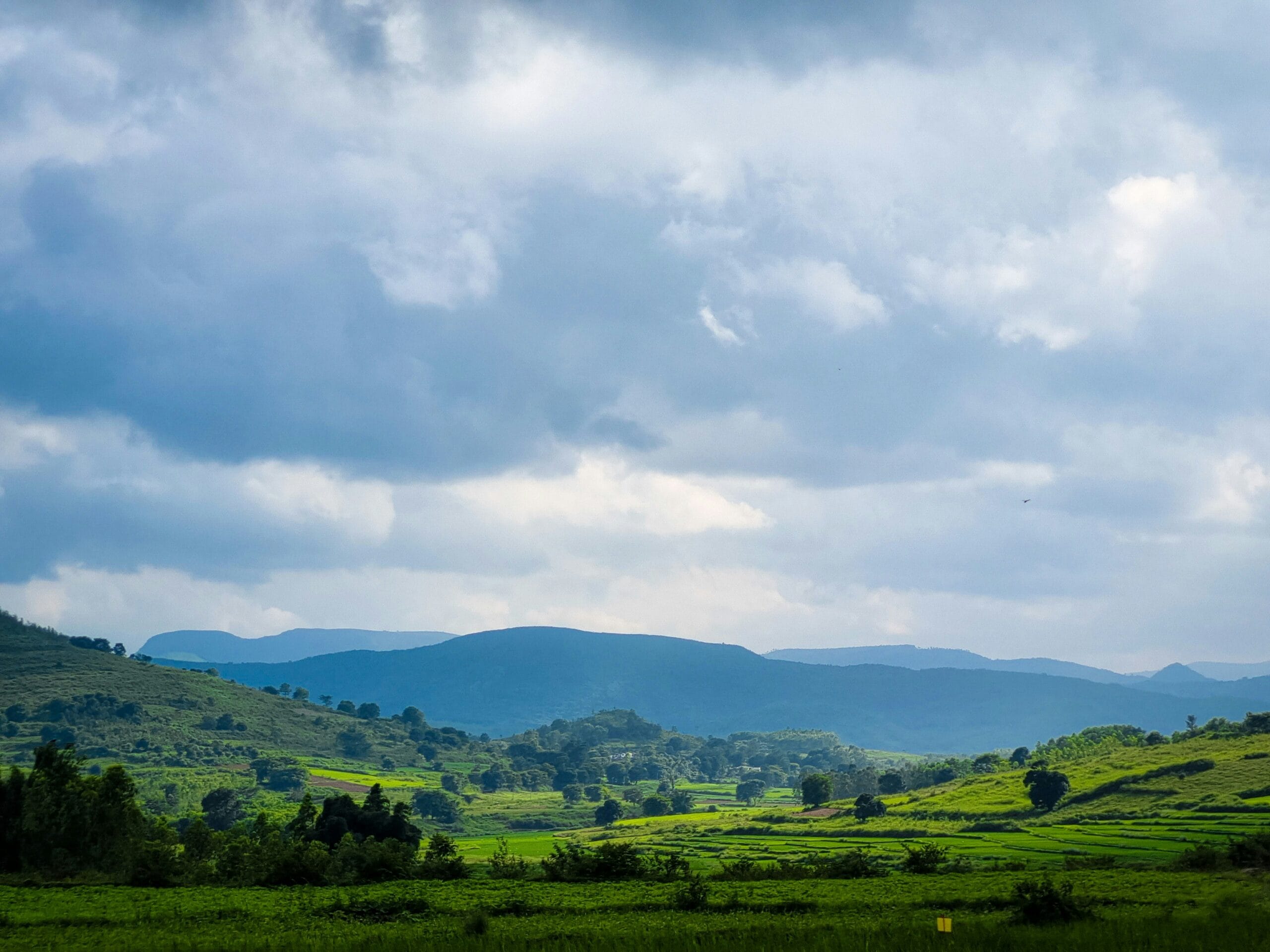 Araku Valley nature trail