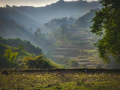 Places to Visit Araku Valley: Your Complete Travel Guide