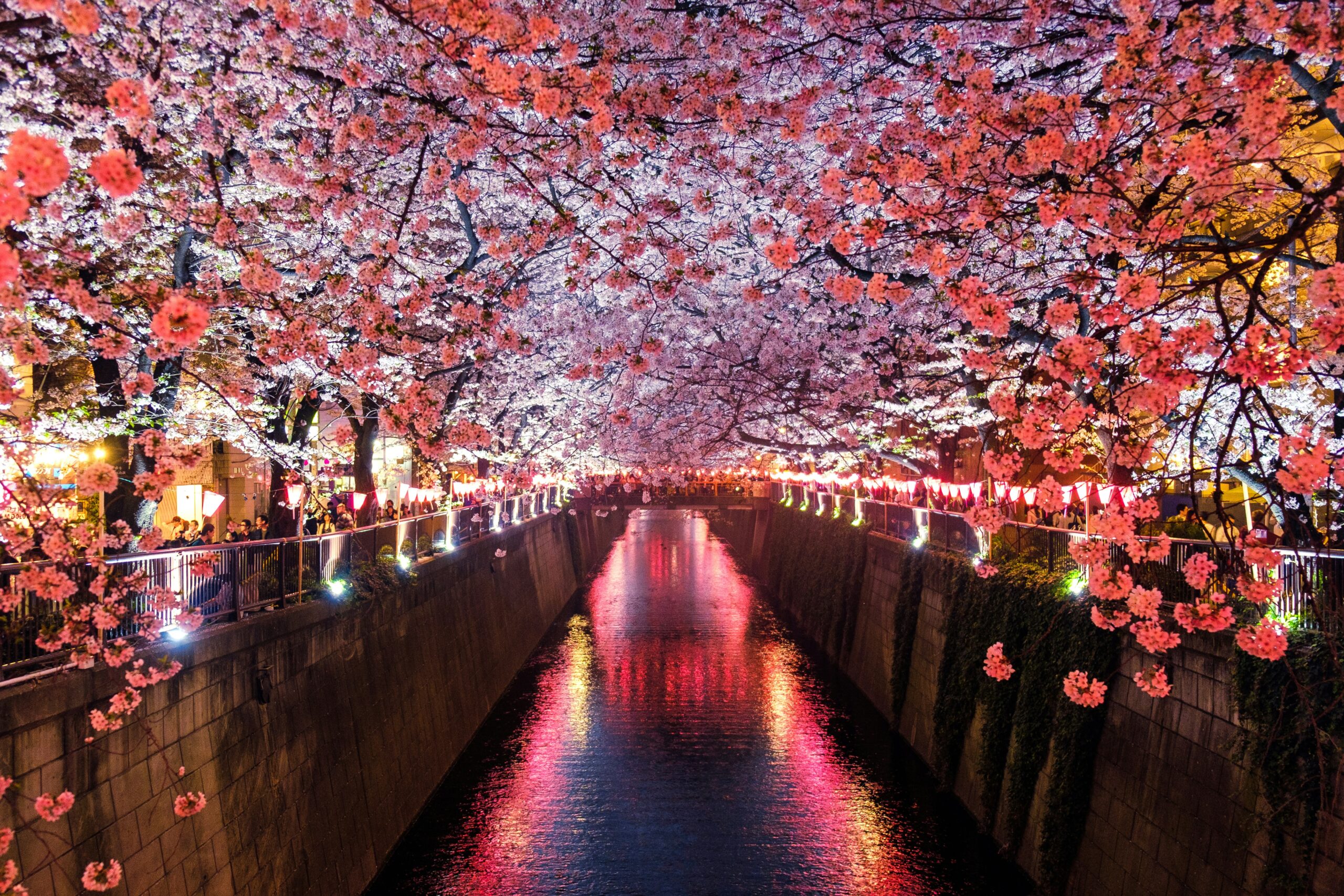 Japan Spring