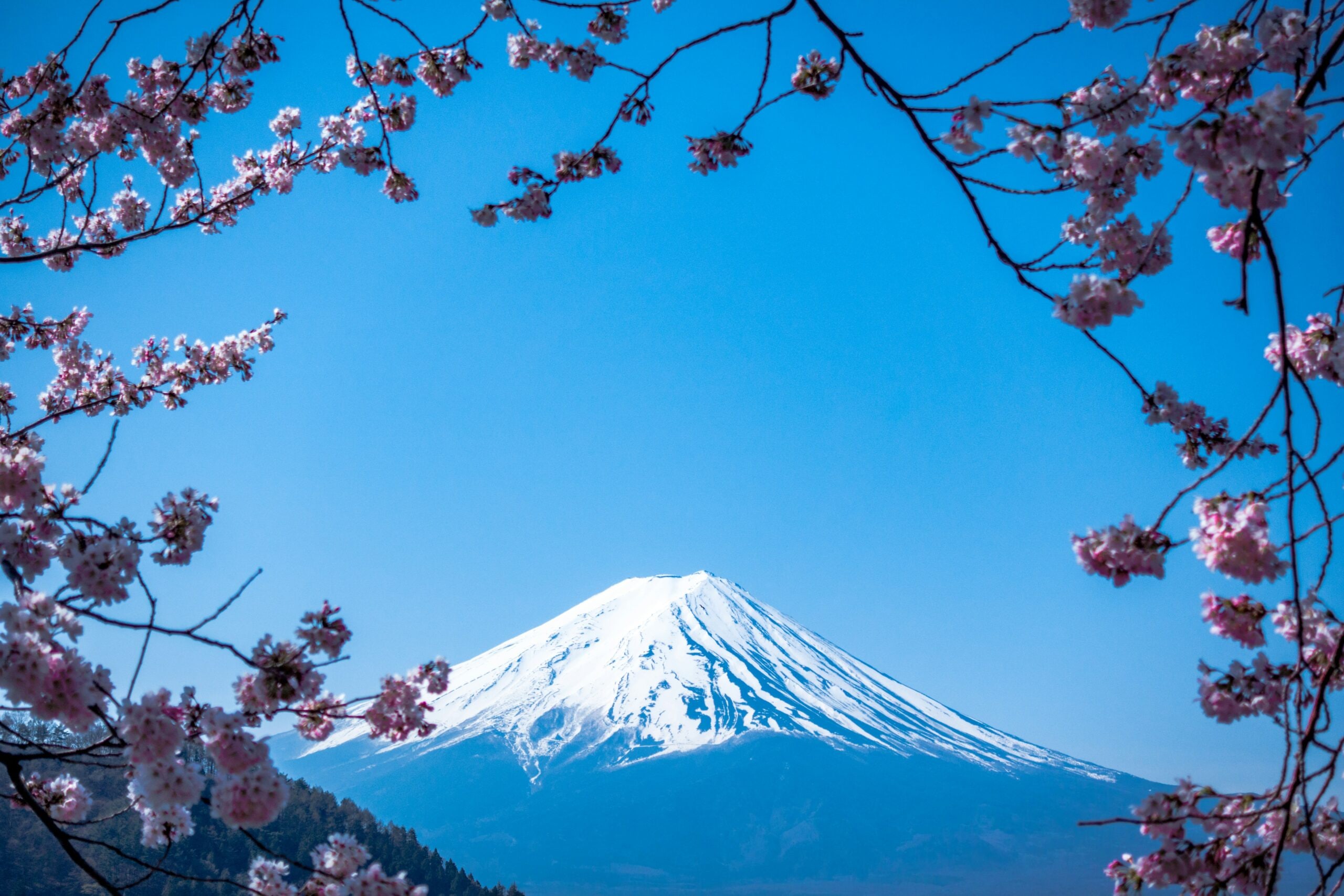 Japan Summer