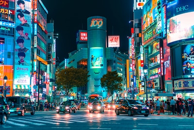 Best Time to Visit Japan: What Each Time of Year Feels Like