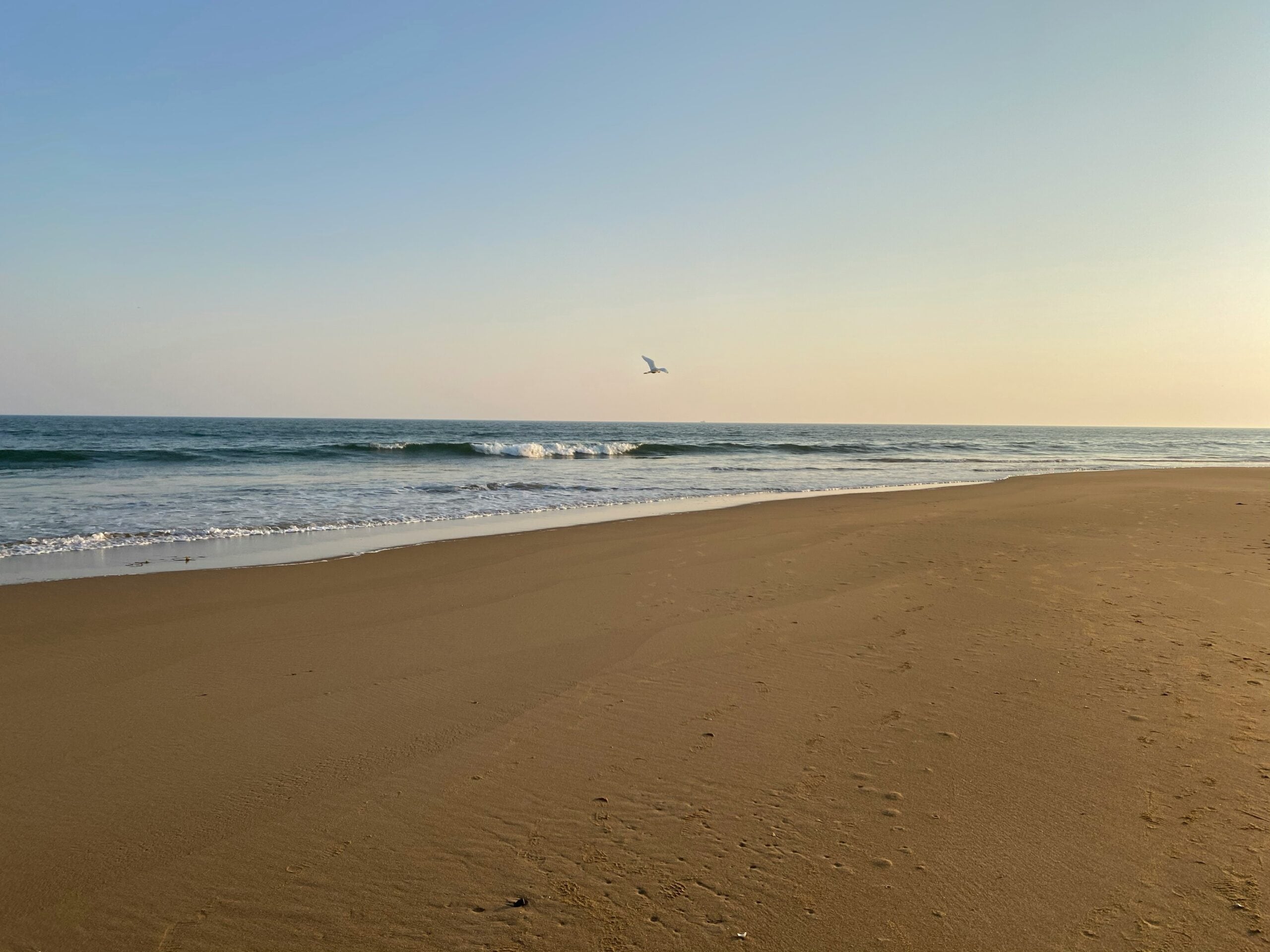 Puri beach