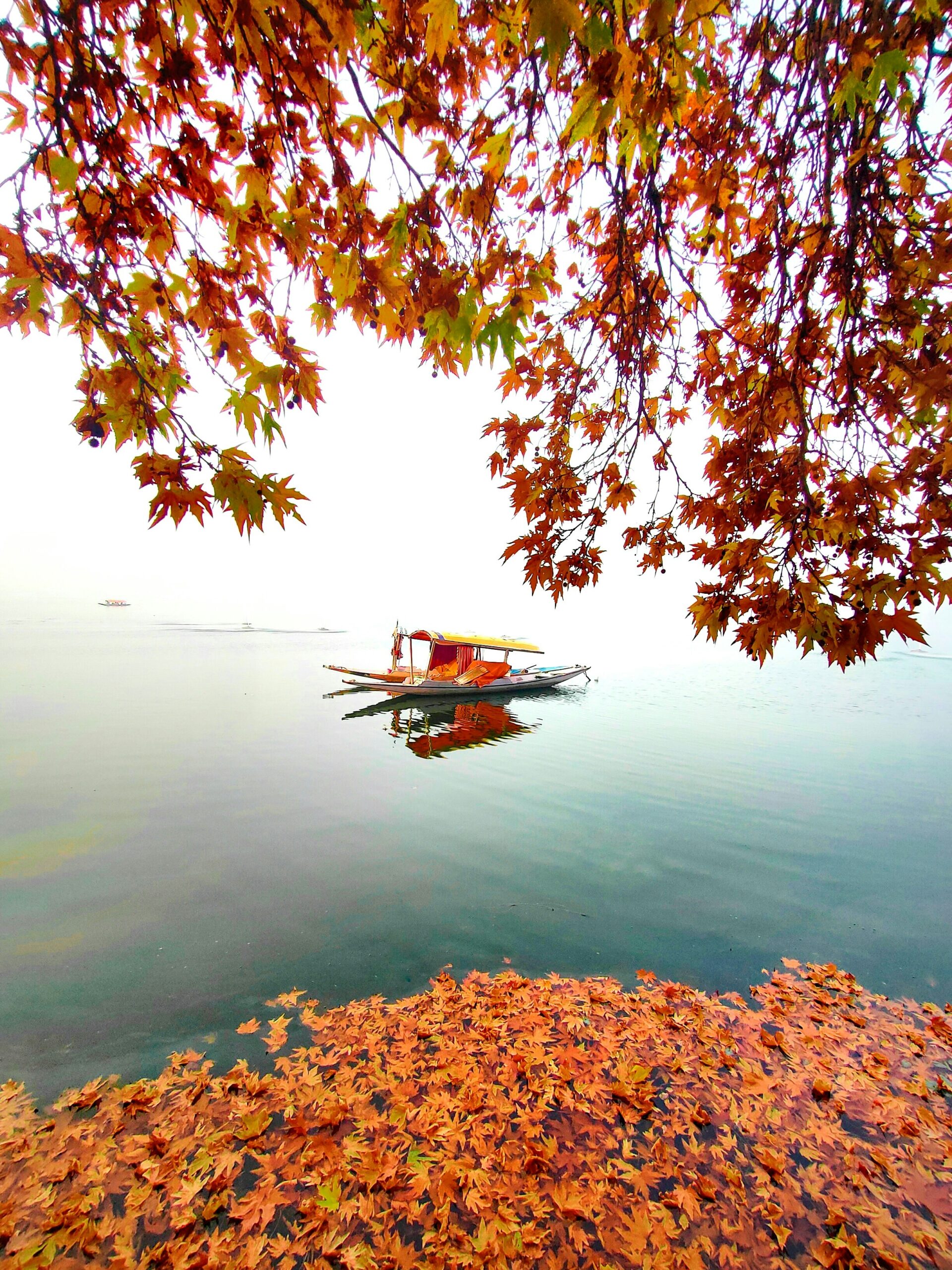 Srinagar Autumn
