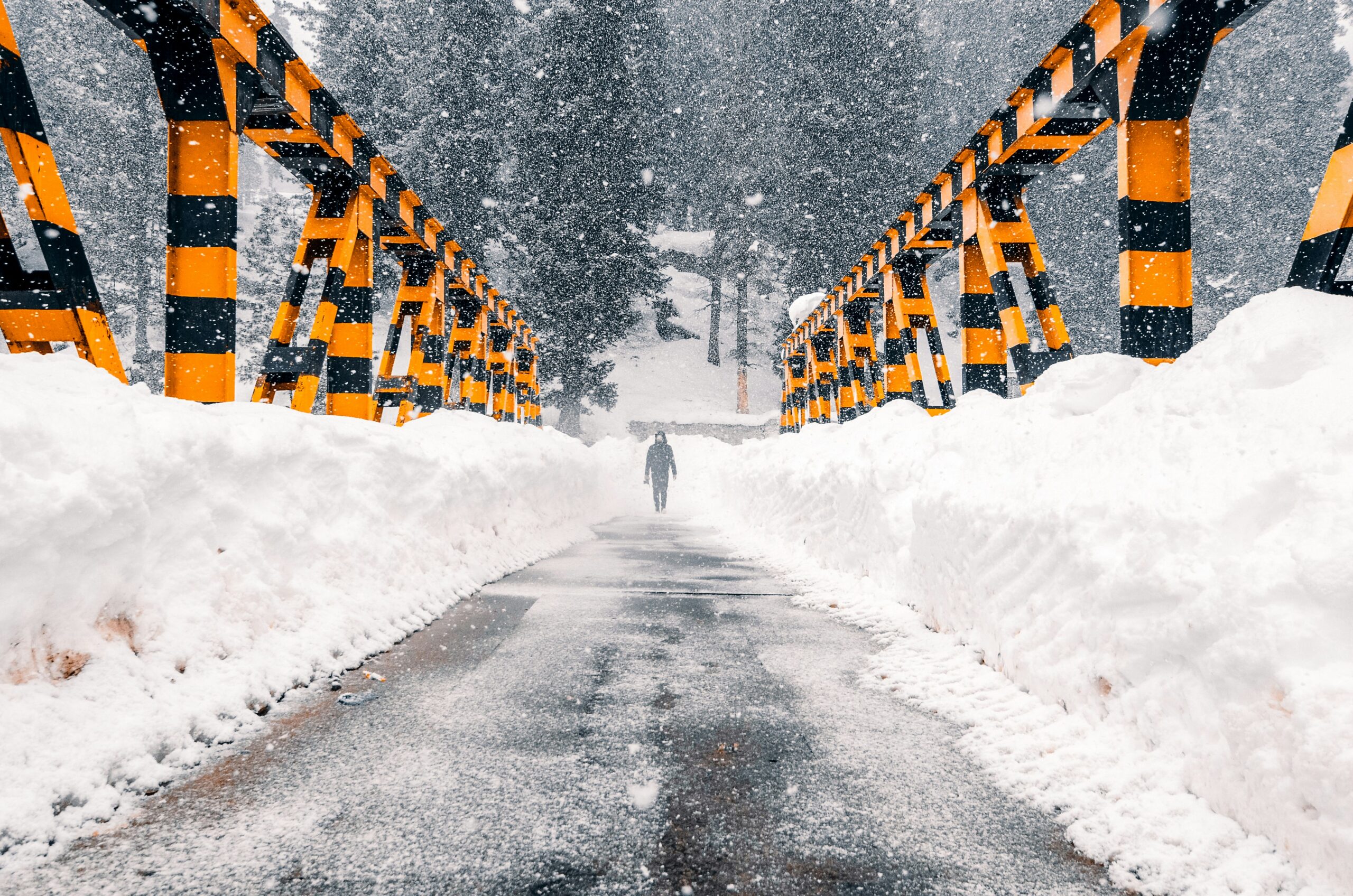 Srinagar Winter